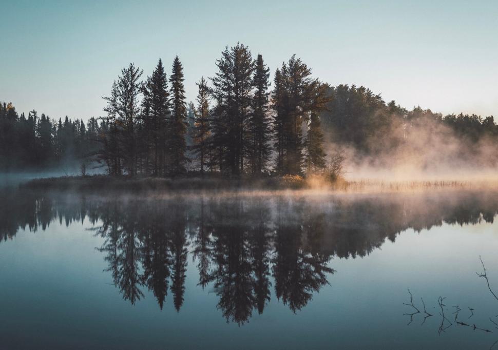 morning-mist-over-a-quiet-forest-lake-with-calm-water-reflection